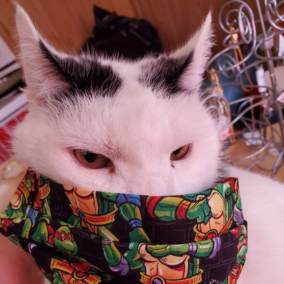 Not 4 Sale - Picture 3 of 7